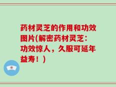 药材灵芝的作用和功效图片(解密药材灵芝：功效惊人，久服可延年益寿！)