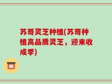 苏哥灵芝种植(苏哥种植高品质灵芝，迎来收成季)