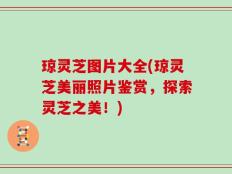 琼灵芝图片大全(琼灵芝美丽照片鉴赏，探索灵芝之美！)