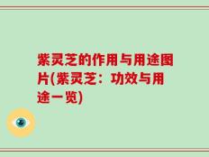 紫灵芝的作用与用途图片(紫灵芝：功效与用途一览)