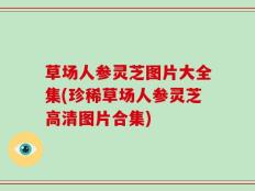 草场人参灵芝图片大全集(珍稀草场人参灵芝高清图片合集)