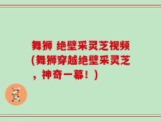 舞狮 绝壁采灵芝视频(舞狮穿越绝壁采灵芝，神奇一幕！)