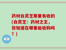 药材白灵芝那里有收的(白灵芝：药材之王，你知道在哪里能收购吗？)