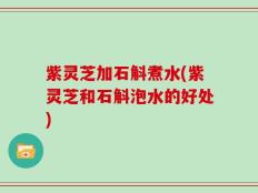 紫灵芝加石斛煮水(紫灵芝和石斛泡水的好处)