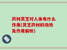 药材灵芝对人体有什么作用(灵芝药材的功效及作用解析)