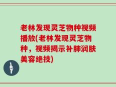 老林发现灵芝物种视频播放(老林发现灵芝物种，视频揭示补肺润肤美容绝技)