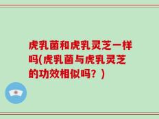 虎乳菌和虎乳灵芝一样吗(虎乳菌与虎乳灵芝的功效相似吗？)