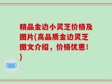 精品金边小灵芝价格及图片(高品质金边灵芝图文介绍，价格优惠！)
