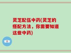灵芝配伍中药(灵芝的搭配方法，你需要知道这些中药)