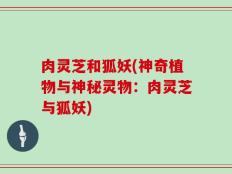 肉灵芝和狐妖(神奇植物与神秘灵物：肉灵芝与狐妖)