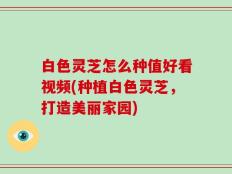 白色灵芝怎么种值好看视频(种植白色灵芝，打造美丽家园)