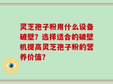 灵芝孢子粉用什么设备破壁？选择适合的破壁机提高灵芝孢子粉的营养价值？