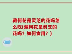 藏何花是灵芝的花吗怎么吃(藏何花是灵芝的花吗？如何食用？)