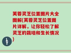 芙蓉灵芝位置图片大全图解(芙蓉灵芝位置图片详解，让你轻松了解灵芝的栽培和生长情况)