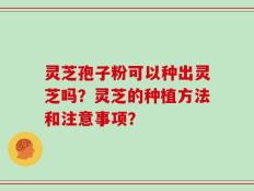 灵芝孢子粉可以种出灵芝吗？灵芝的种植方法和注意事项？