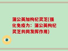 蒲公英加枸杞灵芝(强化免疫力：蒲公英枸杞灵芝共同发挥作用)