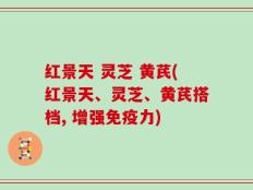 红景天 灵芝 黄芪(红景天、灵芝、黄芪搭档, 增强免疫力)