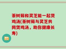 茶树茹和灵芝能一起煲鸡汤(茶树茹与灵芝共同煲鸡汤，助你健康长寿)