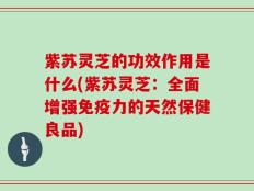 紫苏灵芝的功效作用是什么(紫苏灵芝：全面增强免疫力的天然保健良品)