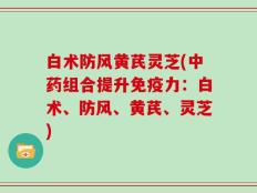 白术防风黄芪灵芝(中药组合提升免疫力：白术、防风、黄芪、灵芝)