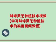 蚌埠灵芝种植技术视频(学习蚌埠灵芝种植技术的实用视频教程)