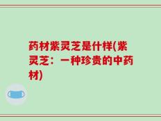 药材紫灵芝是什样(紫灵芝：一种珍贵的中药材)