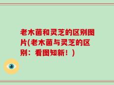老木菌和灵芝的区别图片(老木菌与灵芝的区别：看图知新！)