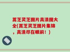 蒿芝灵芝图片高清图大全(蒿芝灵芝图片集锦，高清尽在眼前！)