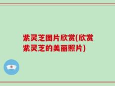 紫灵芝图片欣赏(欣赏紫灵芝的美丽照片)