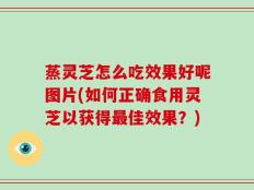 蒸灵芝怎么吃效果好呢图片(如何正确食用灵芝以获得最佳效果？)
