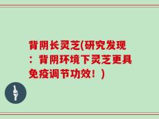 背阴长灵芝(研究发现：背阴环境下灵芝更具免疫调节功效！)