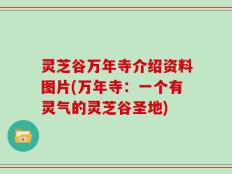 灵芝谷万年寺介绍资料图片(万年寺：一个有灵气的灵芝谷圣地)