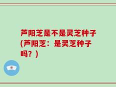 芦阳芝是不是灵芝种子(芦阳芝：是灵芝种子吗？)
