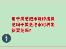 用干灵芝泡水能种出灵芝吗干灵芝泡水可种出新灵芝吗？
