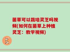 菌草可以栽培灵芝吗视频(如何在菌草上种植灵芝：教学视频)