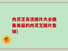肉灵芝高清图片大全图集美丽的肉灵芝图片集锦)