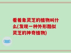 看着象灵芝的植物叫什么(发现一种外形酷似灵芝的神奇植物)