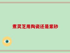 煮灵芝用陶瓷还是紫砂