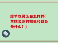 给羊吃灵芝会怎样样(羊吃灵芝的效果和益处是什么？)