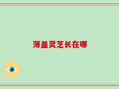 薄盖灵芝长在哪