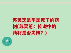 苏灵芝是不是死了的药材(苏灵芝：传说中的药材是否失传？)