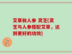 艾草和人参 灵芝(灵芝与人参搭配艾草，达到更好的功效)