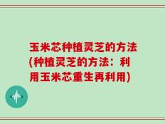 玉米芯种植灵芝的方法(种植灵芝的方法：利用玉米芯重生再利用)
