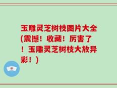 玉雕灵芝树枝图片大全(震撼！收藏！厉害了！玉雕灵芝树枝大放异彩！)