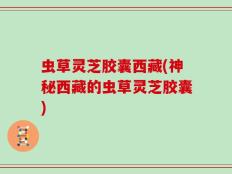 虫草灵芝胶囊西藏(神秘西藏的虫草灵芝胶囊)