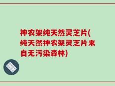 神农架纯天然灵芝片(纯天然神农架灵芝片来自无污染森林)