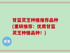 甘蓝灵芝种植推荐品种(重磅推荐：优质甘蓝灵芝种植品种！)