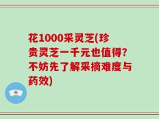花1000采灵芝(珍贵灵芝一千元也值得？不妨先了解采摘难度与药效)