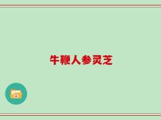 牛鞭人参灵芝