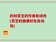 药材灵芝的作用和功效(灵芝的健康好处及功效)